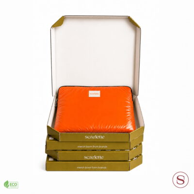 Pizzadoos met laptophoes